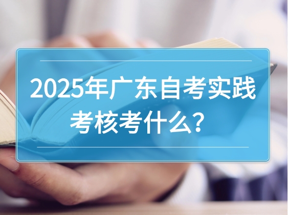 2025年广东自考实践考核考什么？