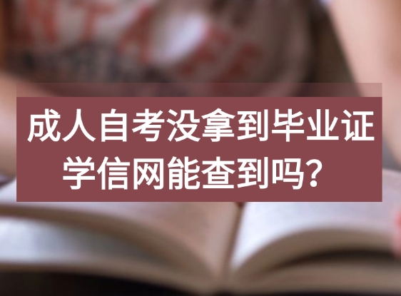 成人自考没拿到毕业证学信网能查到吗？