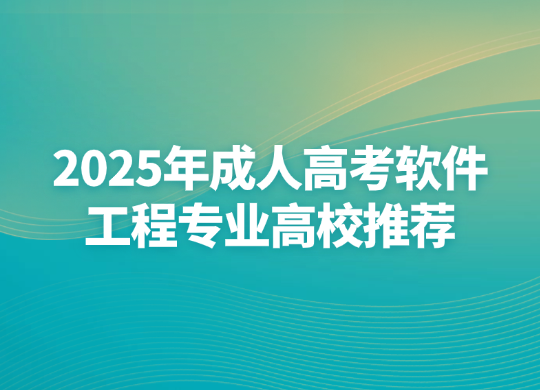 2025年成人高考软件工程专业高校推荐