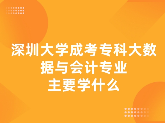 深圳大学成考专科大数据与会计专业主要学什么