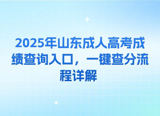 2025年山东成人高考成绩查询入口，一键查分流程详解