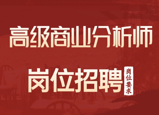 高级商业分析师