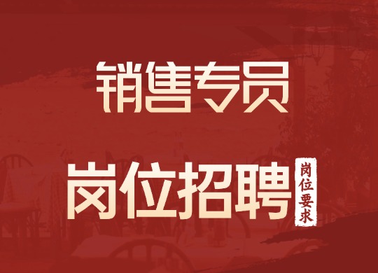 销售专员