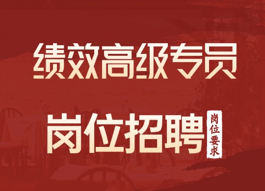 绩效高级专员